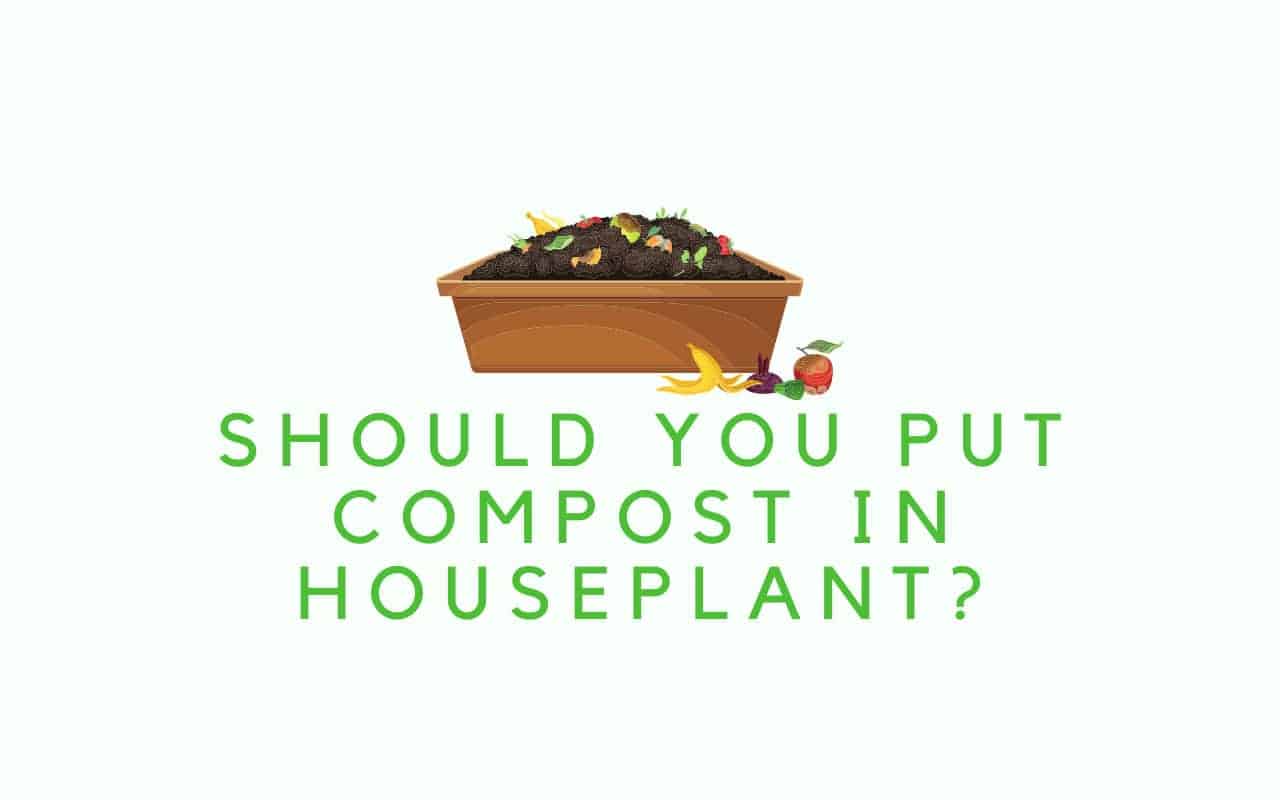 Should You Put Compost In Houseplants? It Depends. Indoor Green Guide