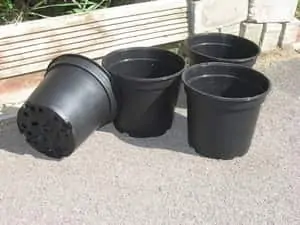 Pots With Drainage Holes