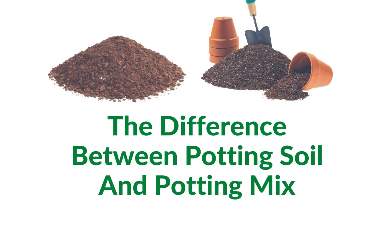 What Is The Difference Between Potting Soil And Potting Mix? Indoor