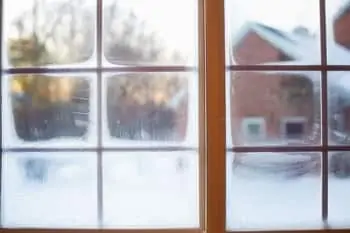Frosty Window