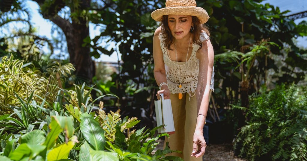 Can You Safely Water Your Plants With Bath Water? Indoor Green Guide